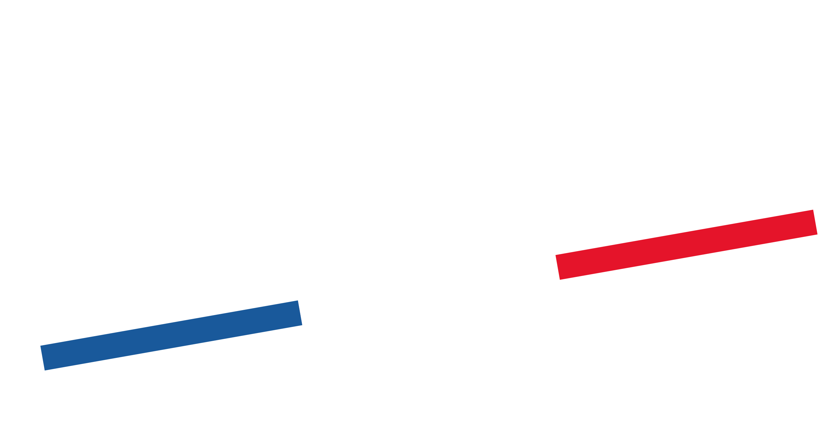 Logo Roger Orfèvre 2022 blanc